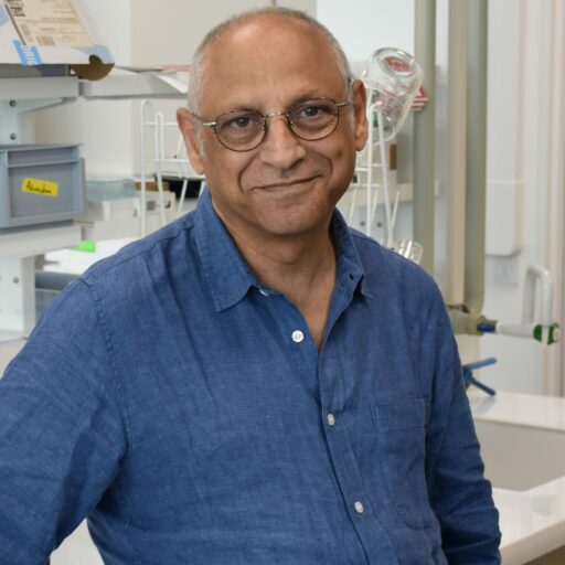 Prof. Elias Fattal